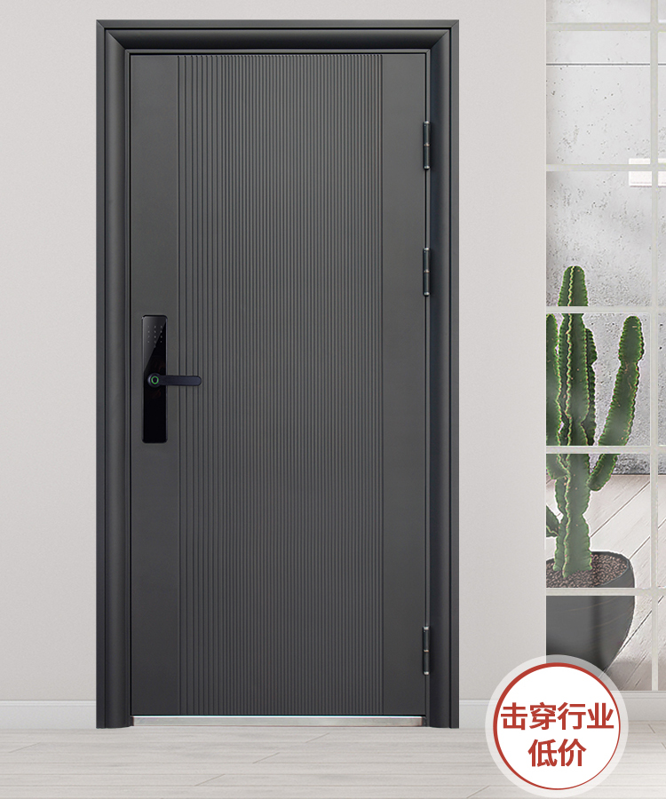 防盗门进户门家用入户门室内外出租房农村大门子母钢质工程单开门(图3)