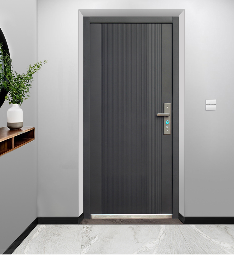 防盗门进户门家用入户门室内外出租房农村大门子母钢质工程单开门(图9)