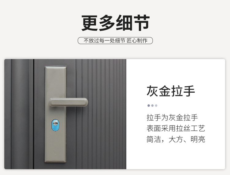 防盗门进户门家用入户门室内外出租房农村大门子母钢质工程单开门(图25)