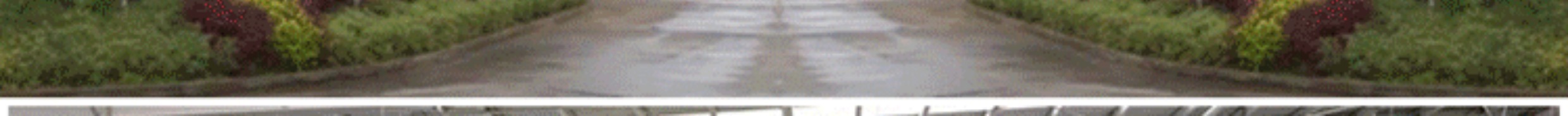 室内门实木门实木复合烤漆门卧室门门定制白色房门现代简约套装(图30)