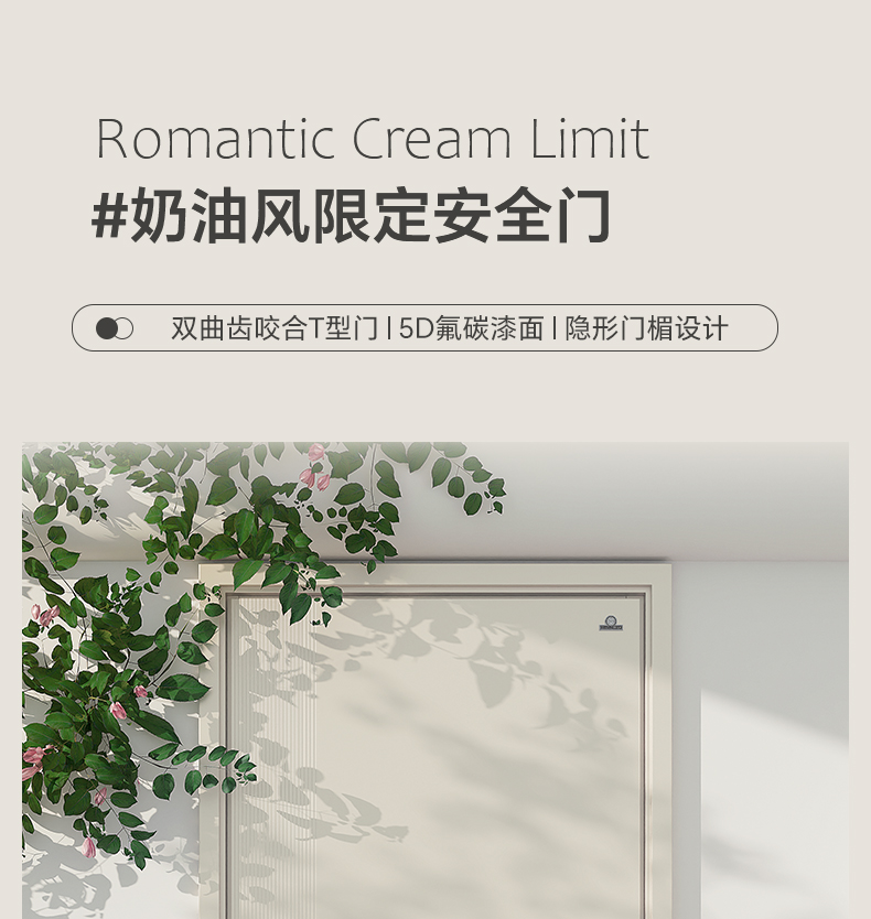 美心新款INS奶油风甲级防盗门安全门别墅大门智能门单门子母6230(图1)