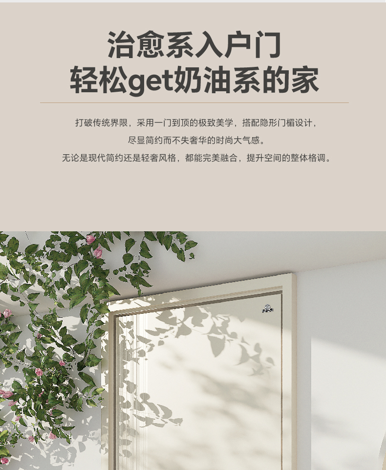 美心新款INS奶油风甲级防盗门安全门别墅大门智能门单门子母6230(图10)