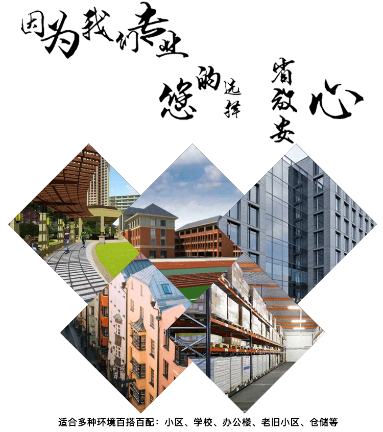 单元门入户门小区防盗门子母楼宇门楼道进户门对讲单元楼楼宇门(图1)