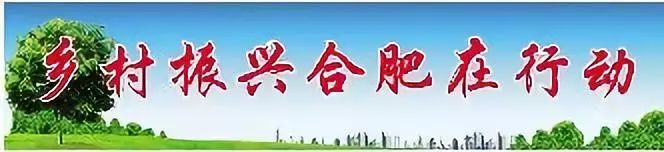 乡村游园_乡村休闲游_乡村游憩地