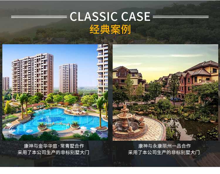 康神别墅大门非标门进户门不锈钢门锌合金甲级门大门防盗门仿铜门(图16)