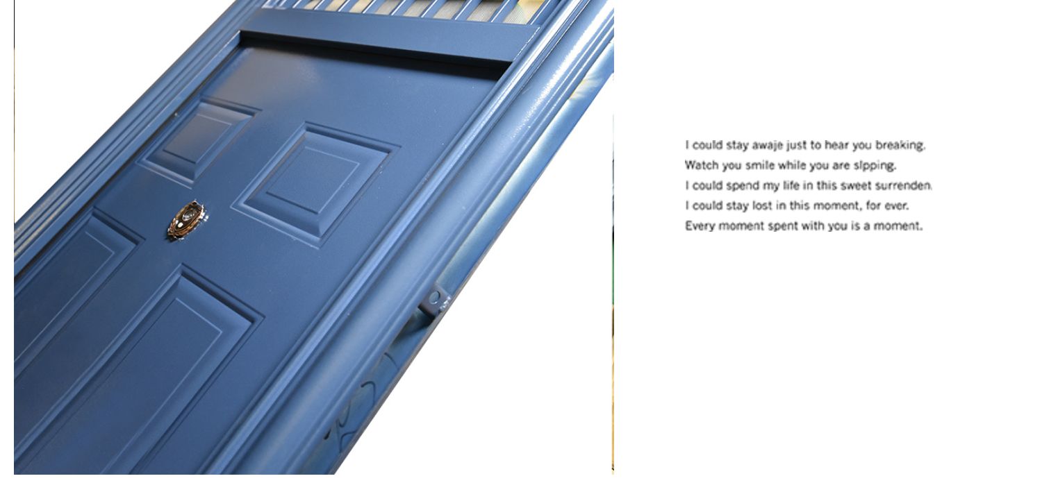 广西非标门入户门防盗门加高学校门安全子母门门户门进户门大门户(图17)