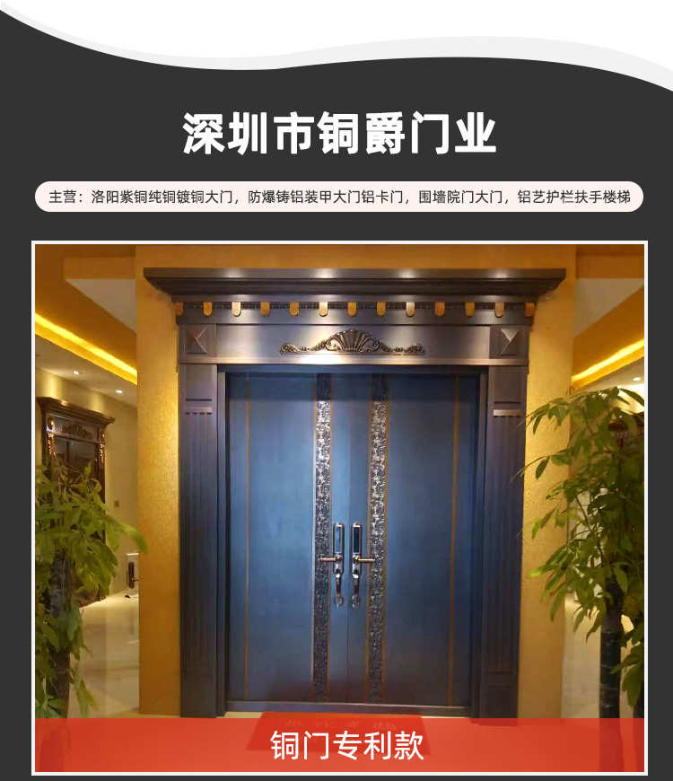 别墅大门对开入户门进户门非标定制纯铜门子母门双开门防盗门家用(图3)