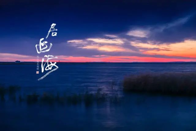 西北胡杨林旅游专列_西北胡杨林大自然风景_大西北胡杨林