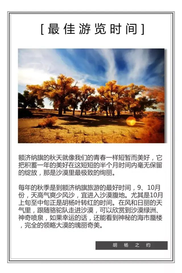 西北胡杨林旅游专列_大西北胡杨林_西北胡杨林大自然风景