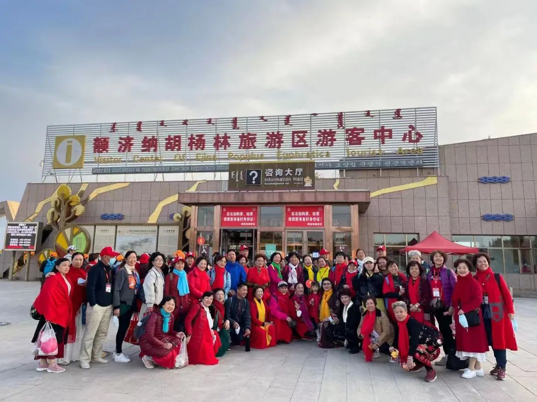 西北胡杨林最佳旅游季节_西北胡杨林大自然风景_西北胡杨林旅游专列