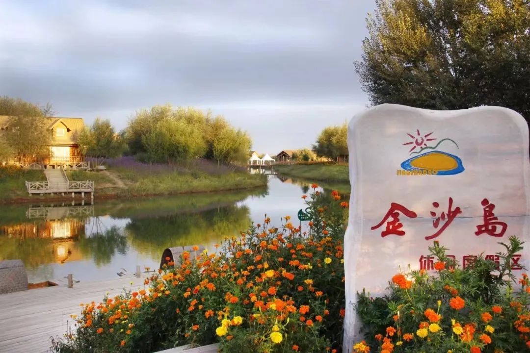 西北胡杨林旅游专列_西北胡杨林最佳旅游季节_西北胡杨林大自然风景