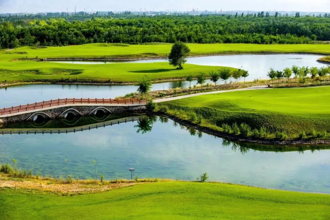 西北胡杨林最佳旅游季节_西北胡杨林旅游专列_西北胡杨林大自然风景
