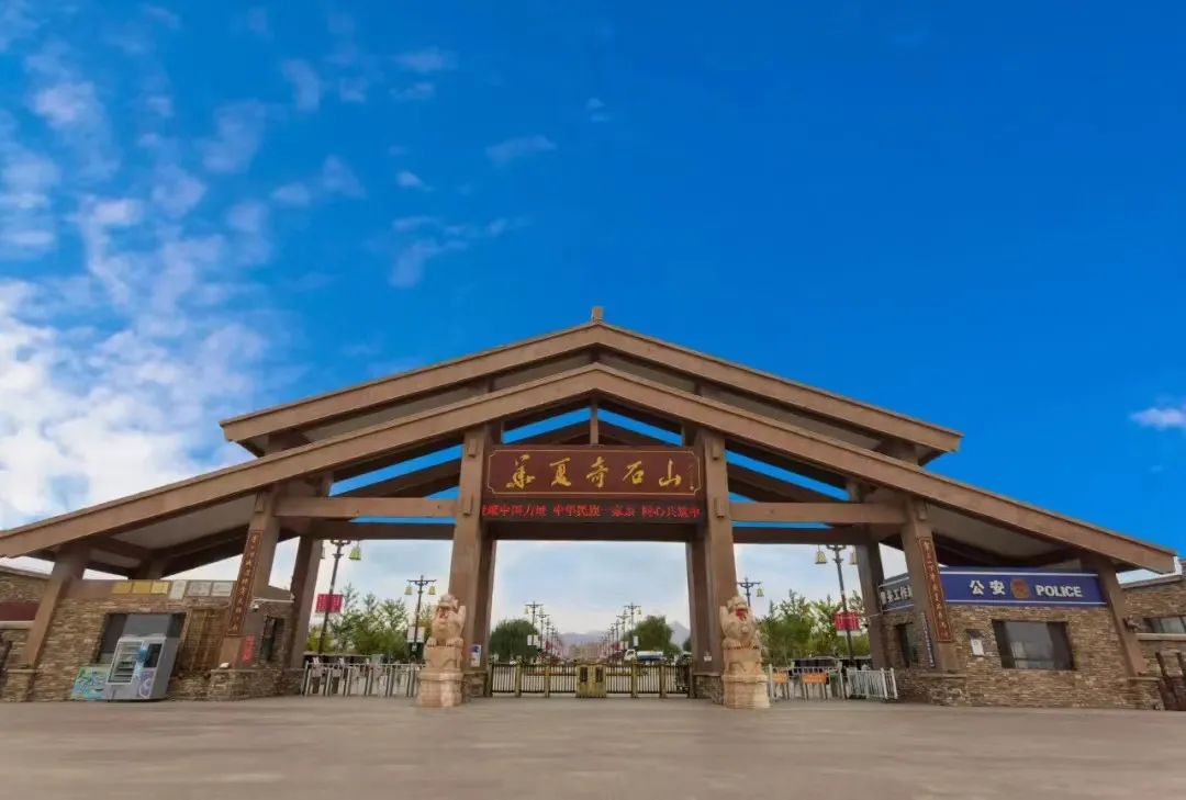 西北胡杨林最佳旅游季节_西北胡杨林旅游专列_西北胡杨林大自然风景