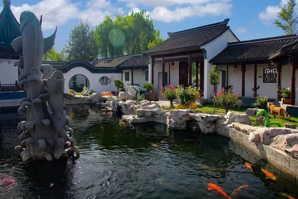 西北胡杨林大自然风景_西北胡杨林最佳旅游季节_西北胡杨林旅游专列