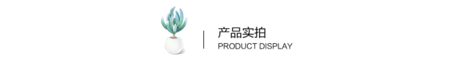 广西非标门入户门防盗门加高学校门安全子母门门户门进户门大门户(图10)