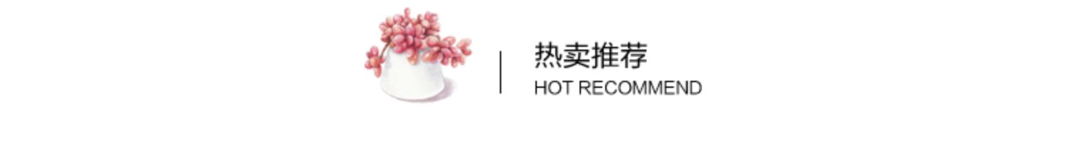 辽宁非标门入户门防盗门加高学校门安全子母门门户门进户门大门户(图5)