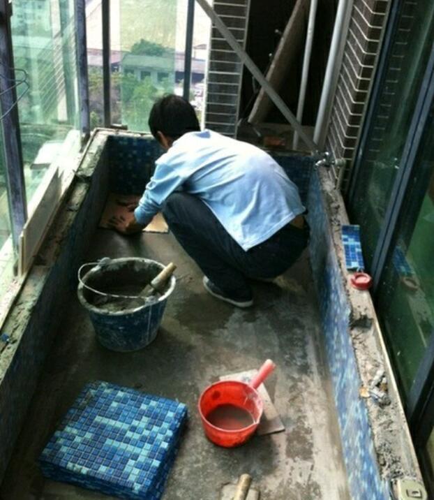 商品房阳台怎么养宠物, 看这里就知道了, 不可思议的想法