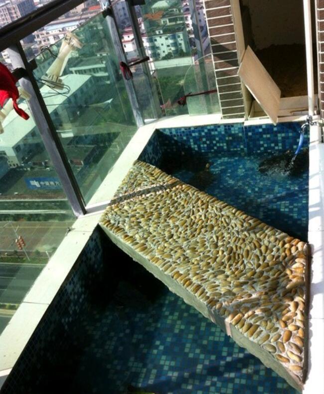 商品房阳台怎么养宠物, 看这里就知道了, 不可思议的想法