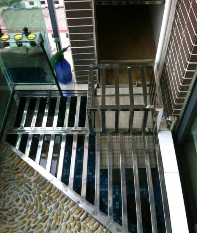 商品房阳台怎么养宠物, 看这里就知道了, 不可思议的想法