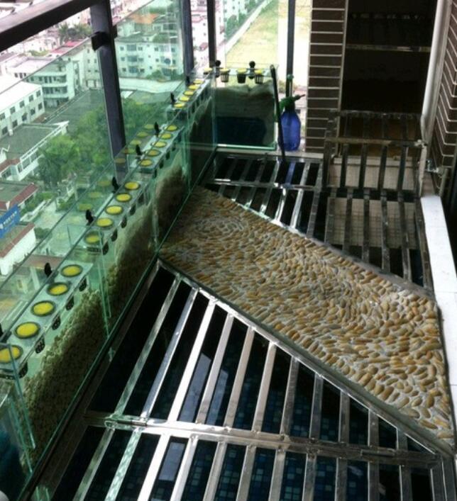 商品房阳台怎么养宠物, 看这里就知道了, 不可思议的想法