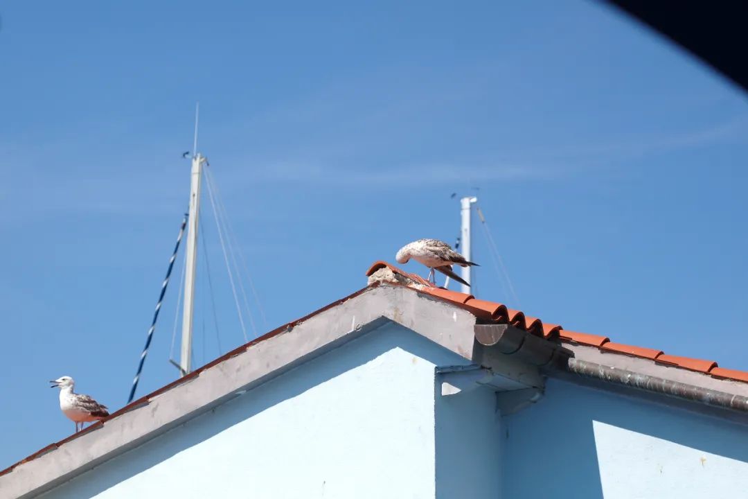 欧洲 彩色房子_彩色房子是哪里_彩色房子是哪个国家