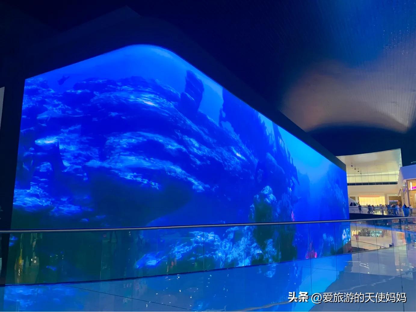 迪拜必玩旅游景点_迪拜旅游景点必去的地方_景点迪拜旅游玩什么好