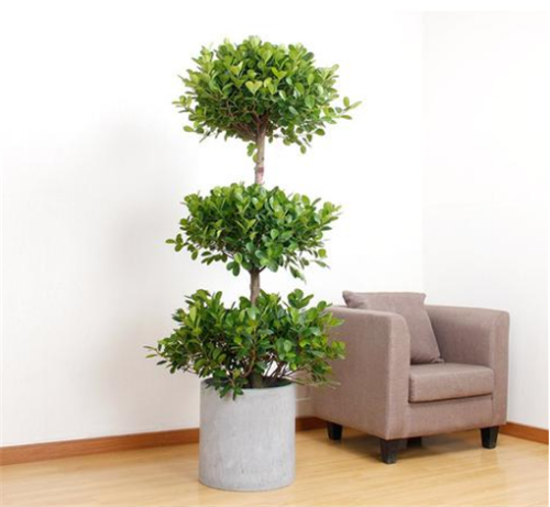 搬新房子送礼送什么好（搬进新房送什么礼物最好）