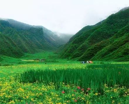 沐川旅游攻略景点必去_沐川旅游攻略_沐川旅游