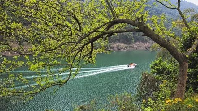 沐川旅游_沐川旅游攻略_沐川旅游攻略景点必去