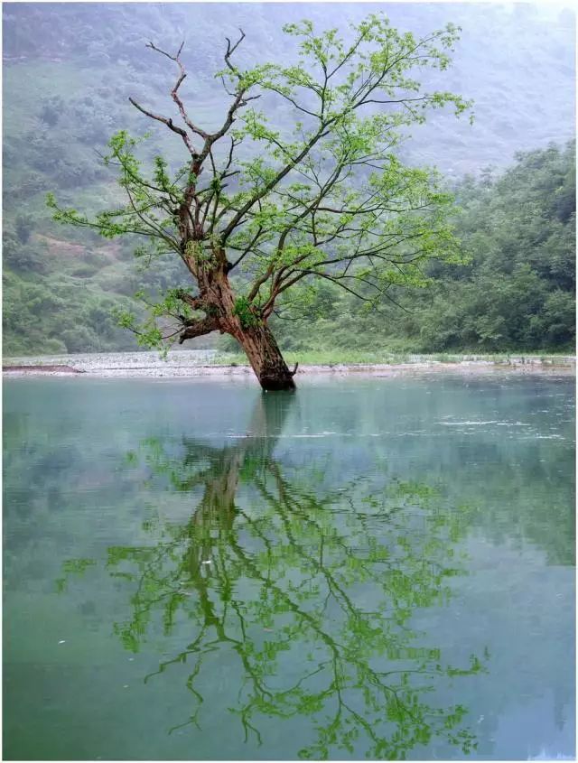 沐川旅游攻略_沐川旅游_沐川旅游攻略景点必去