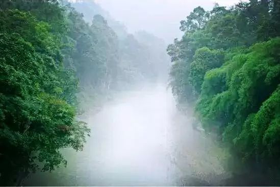 沐川旅游攻略景点必去_沐川旅游_沐川旅游攻略