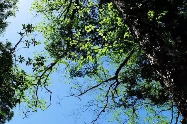 沐川旅游攻略景点必去_沐川旅游_沐川旅游攻略