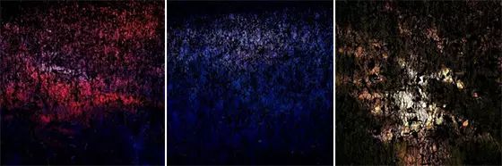 软装设计前景分析报告_软装设计的前景_软装设计前景如何