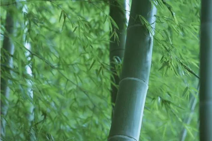 蜂窝装饰纸板图片高清_蜂窝纸板图纸_蜂窝纸板装饰图片