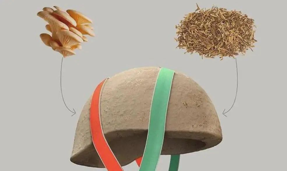 蜂窝装饰纸板图片高清_蜂窝纸板装饰图片_蜂窝纸板图纸