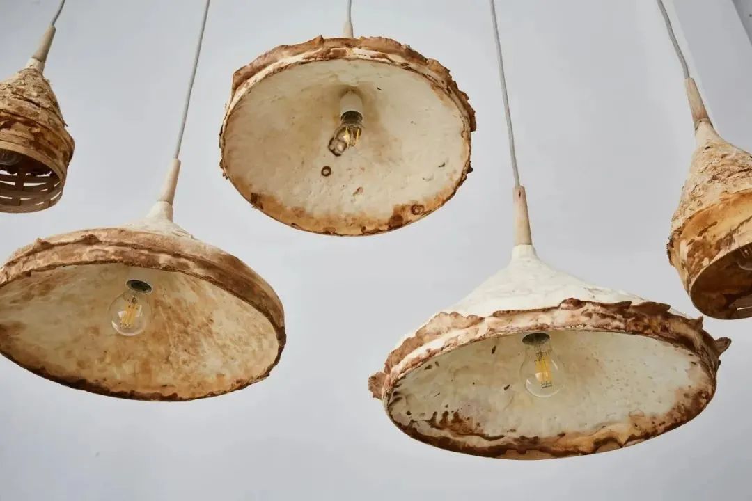 蜂窝纸板装饰图片_蜂窝纸板图纸_蜂窝装饰纸板图片高清