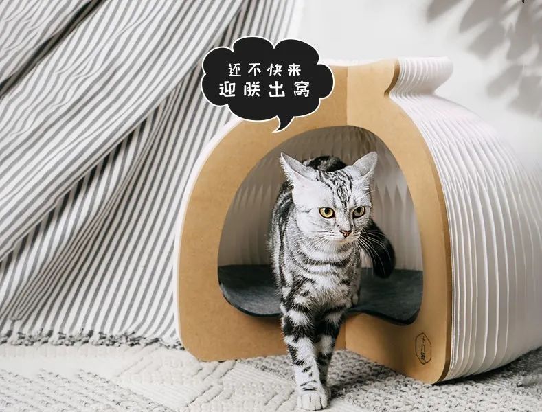 蜂窝纸箱图片大全_蜂窝纸板装饰图片_蜂窝装饰纸板图片效果图