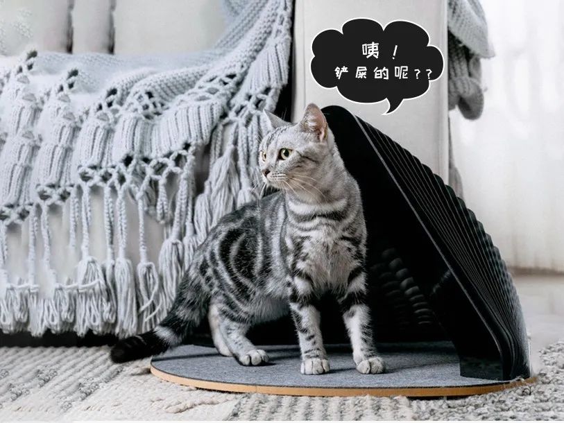 蜂窝纸箱图片大全_蜂窝纸板装饰图片_蜂窝装饰纸板图片效果图