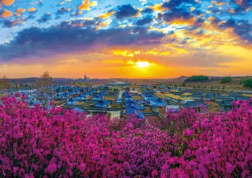 打造乡村观光旅游业_观光乡村旅游项目名称_乡村观光旅游项目