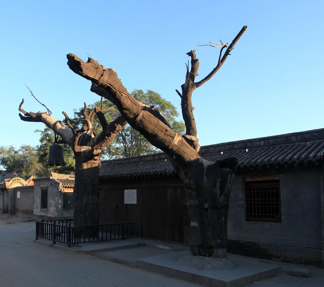 山庄度假村_十渡(七渡)葡萄园旅游度假山庄_度假山庄酒店