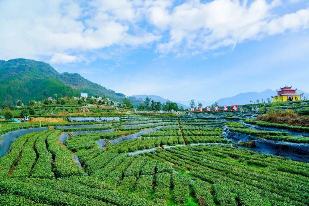 自驾大巴山_大巴山旅游景区_旅游大巴收费标准