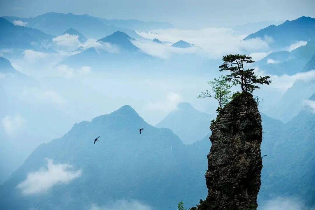 大巴山旅游景区_旅游大巴收费标准_自驾大巴山