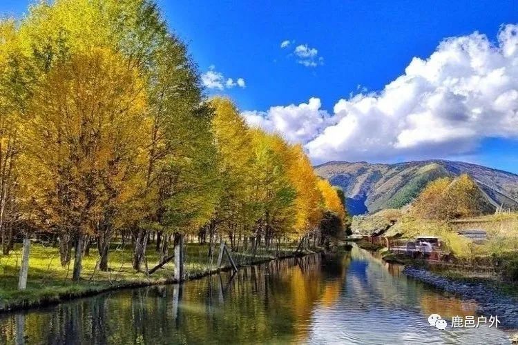 米亚罗毕棚沟景区自助游_米亚罗毕棚沟旅游_米亚罗毕棚沟旅游攻略