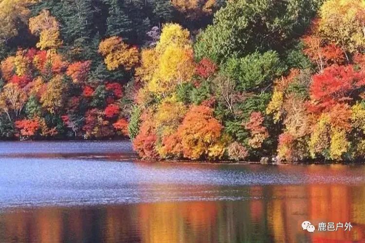 米亚罗毕棚沟景区自助游_米亚罗毕棚沟旅游攻略_米亚罗毕棚沟旅游