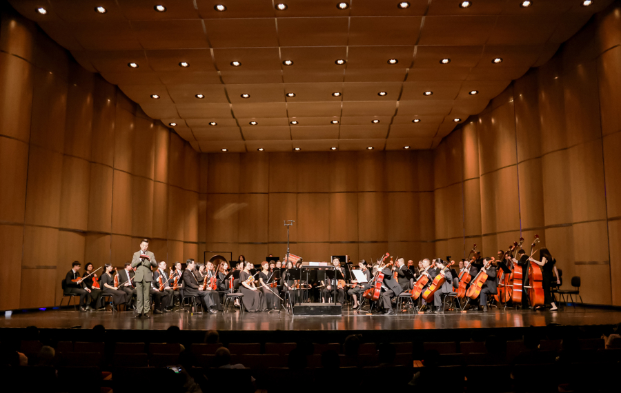 美团数据赋能+小红书内容破圈,松江打造文旅商体展融合新范式(图6) 松江买自行车的地方_松江自行车骑行路线_松江红的自行车