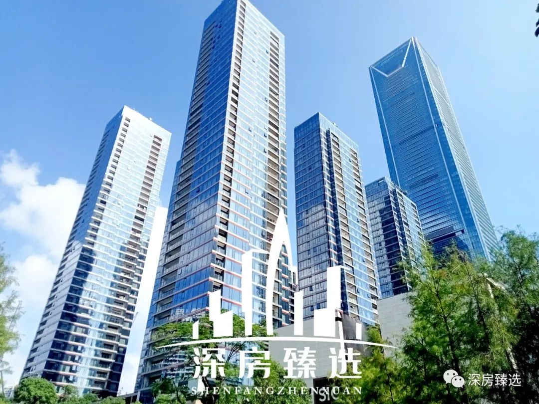 中海深超总户型图曝光!(图21) 滨海御庭2期户型图_庭墅是什么意思_庭墅是什么样的房子