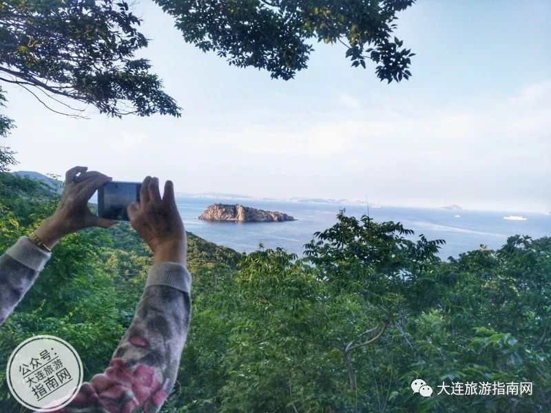 2021大连观光巴士运营时间_大连观光巴士一圈多长时间_大连观光巴士