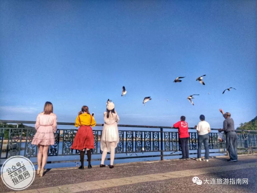 大连观光巴士一圈多长时间_大连观光巴士_2021大连观光巴士运营时间