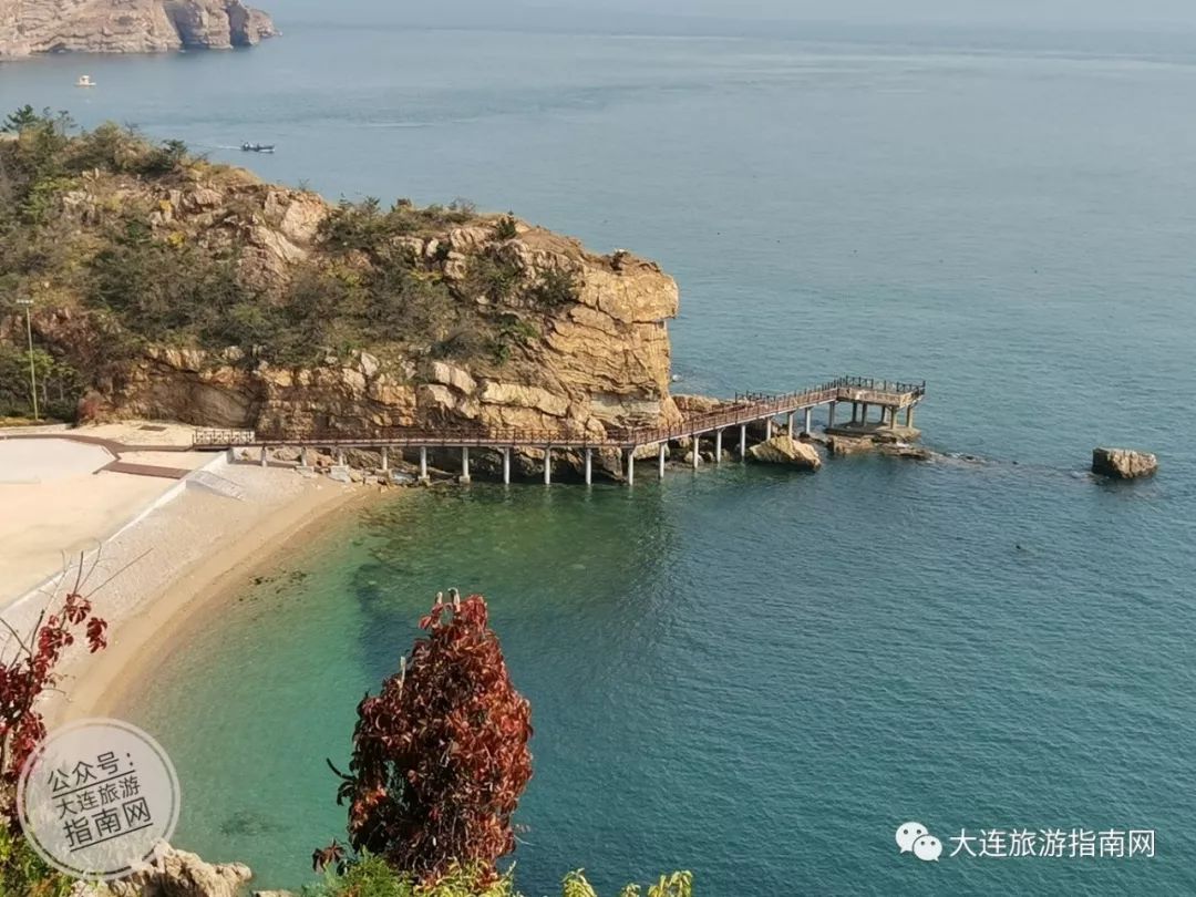 2021大连观光巴士运营时间_大连观光巴士一圈多长时间_大连观光巴士