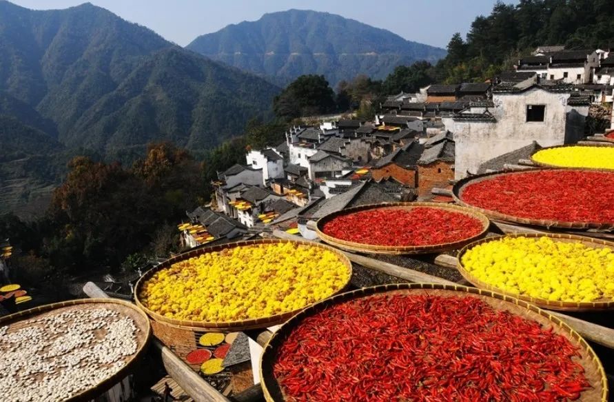 乡村旅游资源开发的策略有_乡村旅游资源有哪些_乡村旅游资源